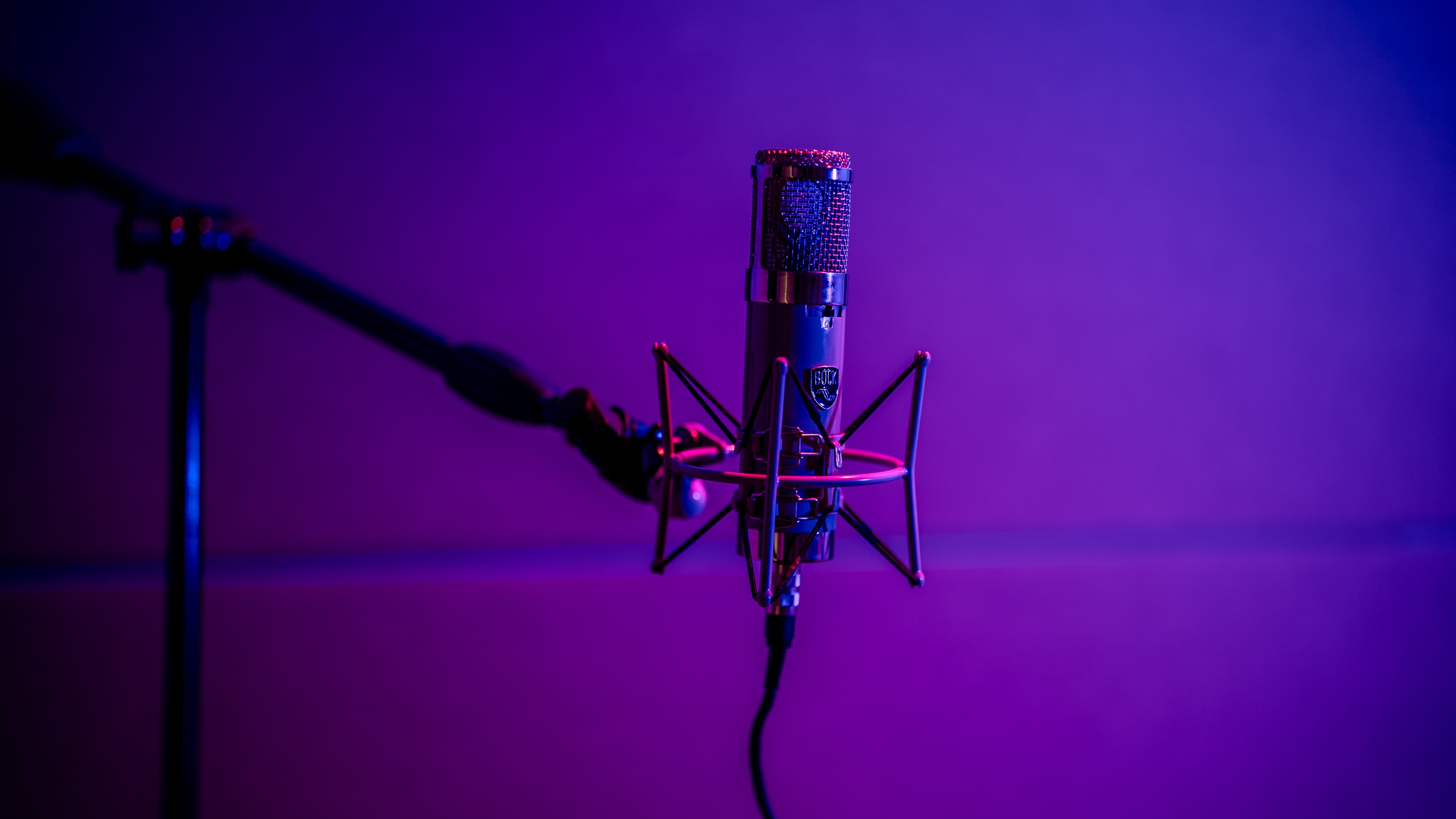 Bock Audio microphone